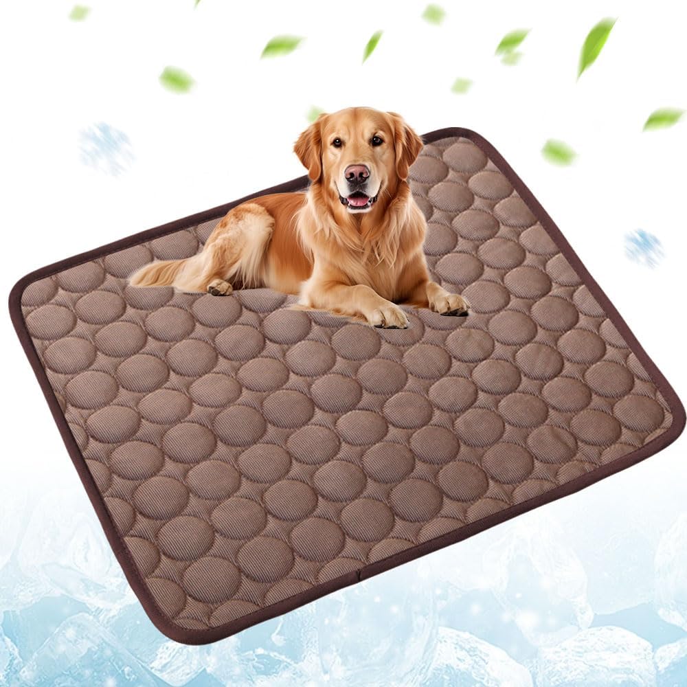 ArcticPaws Cooling Bed🐾