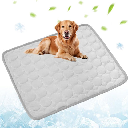 ArcticPaws Cooling Bed🐾