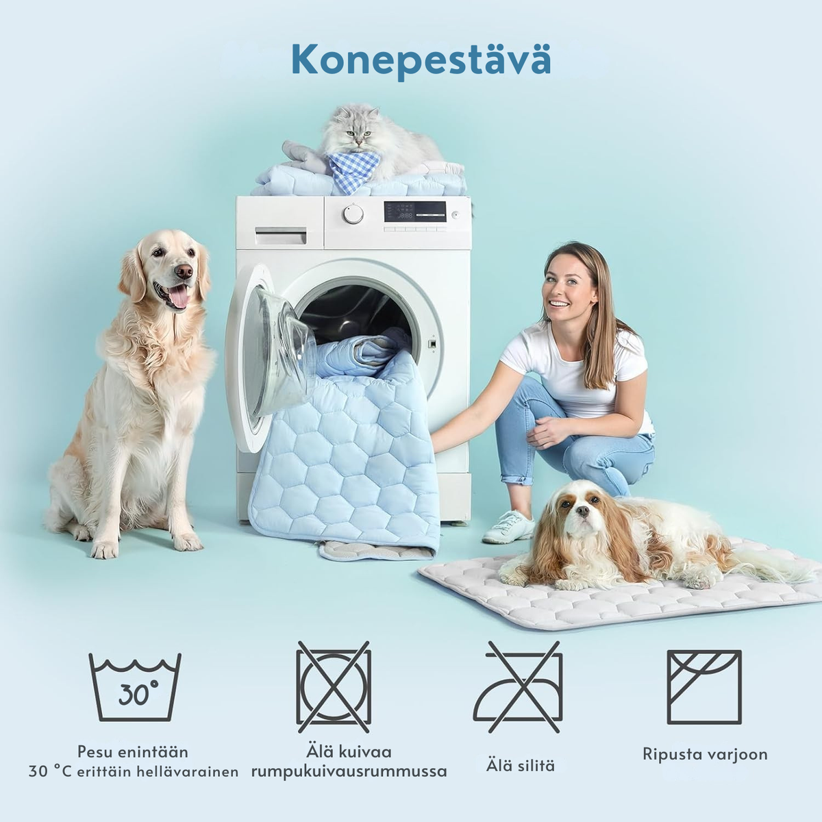 ArcticPaws Cooling Bed🐾