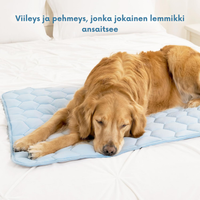 ArcticPaws Cooling Bed🐾